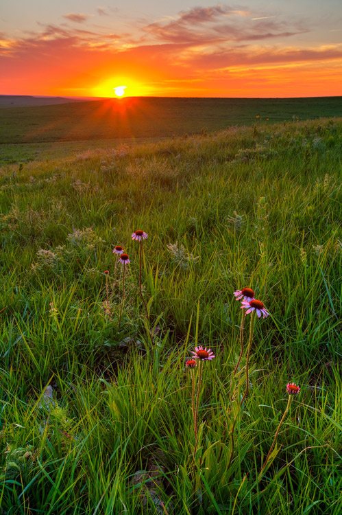 Land of Sunsets, Tallgrass Prairie National Preserve, Kansas, United States