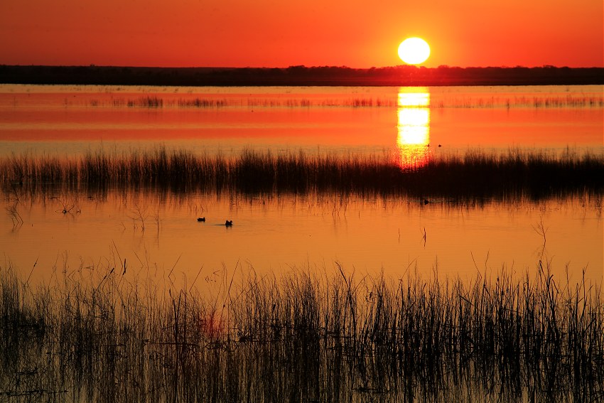 Cheyenne Bottoms, Cheyenne Bottoms, Kansas, United States